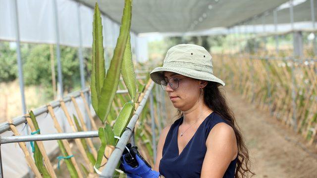 Kendisi bile bilmiyordu! Talep yağıyor