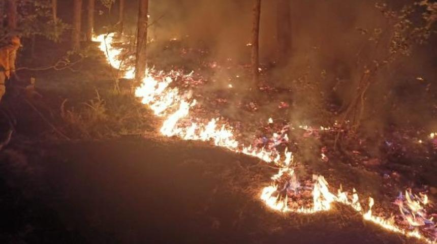Son Dakika: Orman yangınlarından etkilenen yerler 'afet bölgesi' ilan edildi