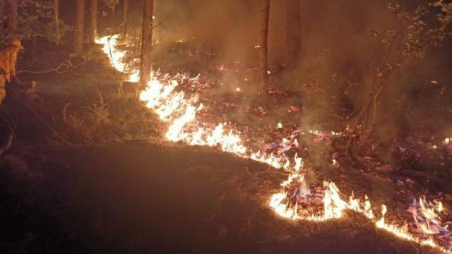 Ormanlar neden yanıyor? Canlı yayında dikkat çeken sözler