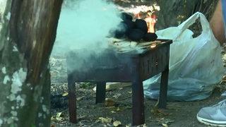 Yasaklar hiçe sayıldı! Belgrad Ormanı'nda 'pes' dedirten mangal görüntüsü