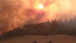 Adana Aladağ'daki orman yangını iki ilçeye daha sıçradı