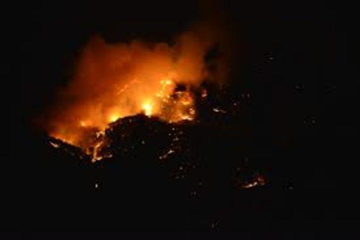 İstanbul, Ankara ve İzmir'de ormana girmek yasak mı? Hangi illerde ormana girmek yasak? Neden yasak? G2