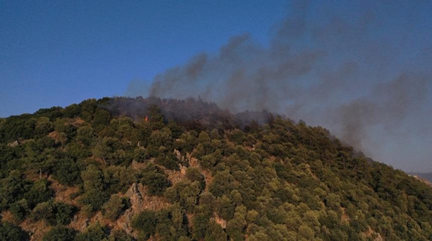 Muğla'da çıkan yangınla ilgili gözaltına alınan zanlı tutuklandı