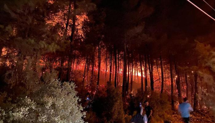 Son Dakika: Muğla'nın Fethiye ilçesinde orman yangını