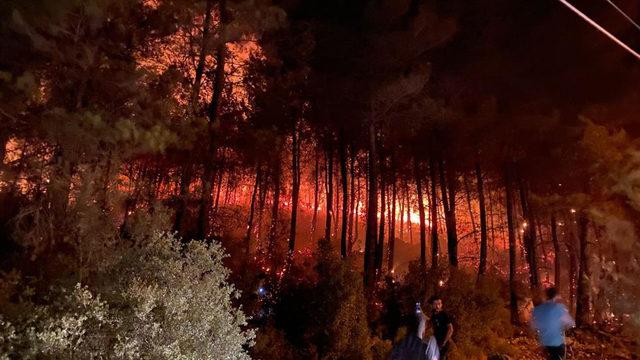 Son Dakika: Muğla'nın Fethiye ilçesinde orman yangını