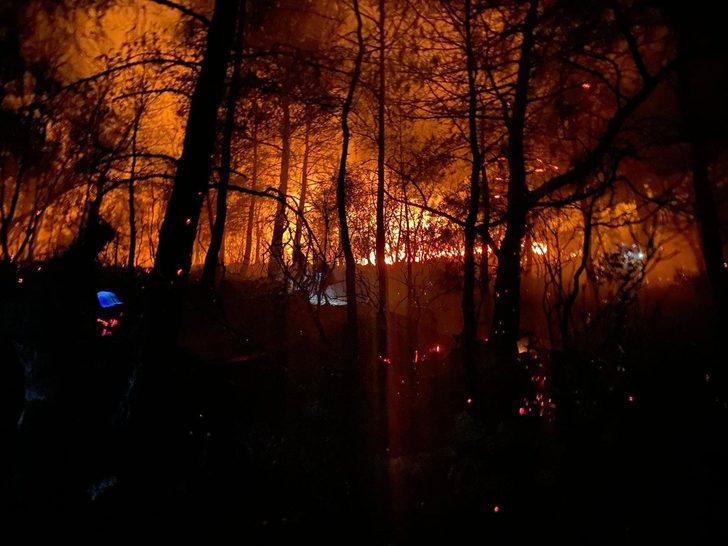 Son Dakika: Muğla'nın Fethiye ilçesinde orman yangını G5