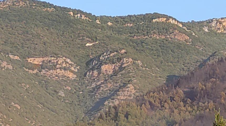 Hatay'daki yangından sevindiren haber! Kontrol altına alındı