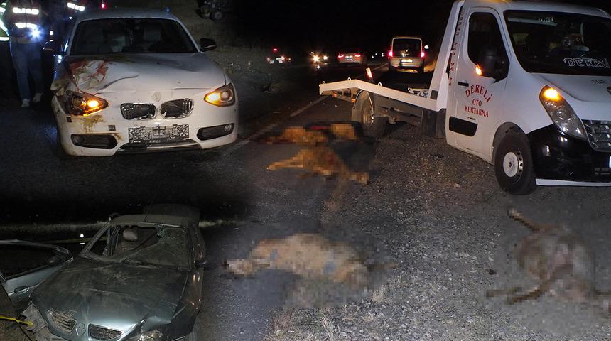 Sürüye çarpmamak için manevra yapmış! Yozgat'ta korkunç gece