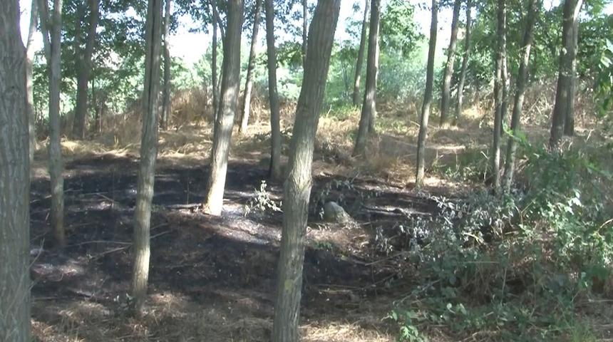 İstanbul Arnavutköy'deki ormanda da yangın faciası yaşanacaktı! Böyle durdurmuşlar