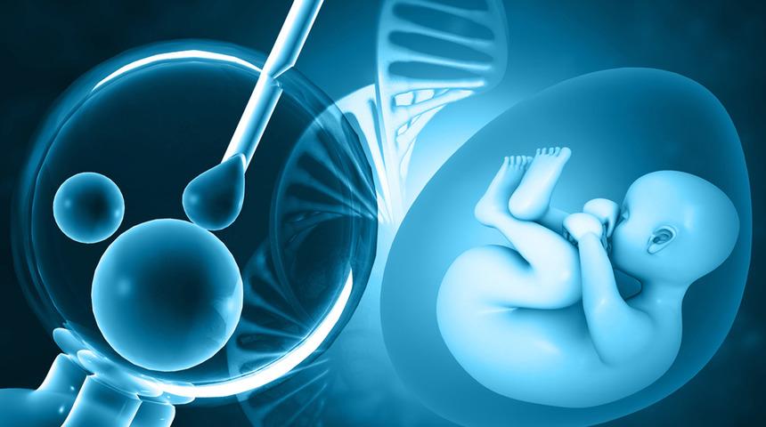 Tüp bebek tedavisinde yumurtalar nasıl geliştirilir?