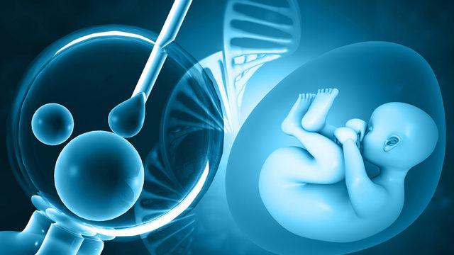 Tüp bebek tedavisinde yumurtalar nasıl geliştirilir?