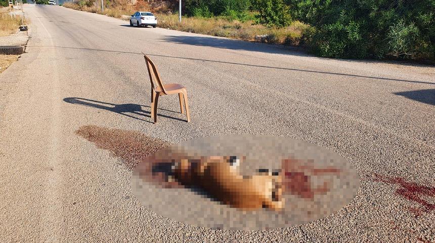 Kan donduran vahşet! Sokak k&ouml;peğini av t&uuml;feğiyle &ouml;ld&uuml;rd&uuml;