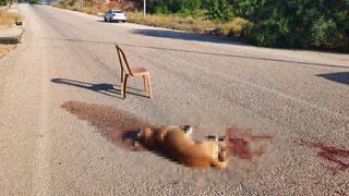 Kan donduran vahşet! Sokak köpeğini av tüfeğiyle öldürdü