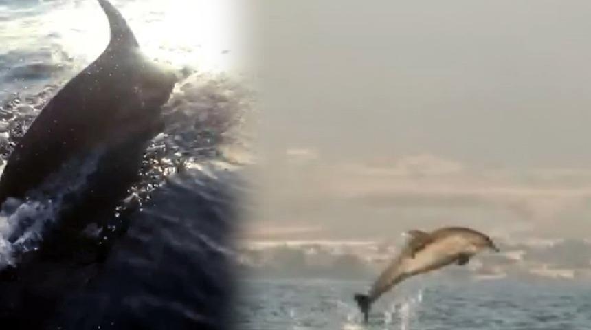 İskenderun Körfezi'nde renkli görüntüler! Teknelerle yarıştılar