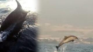 İskenderun Körfezi'nde renkli görüntüler! Teknelerle yarıştılar