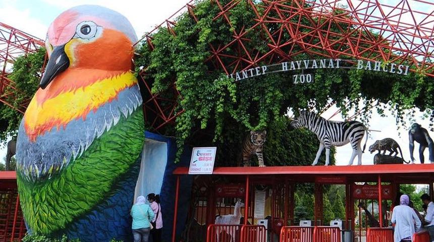 Yangınlar sonrası Gaziantep'te yeni karar! Türkiye’nin en büyük hayvanat bahçesi ziyarete kapatıldı
