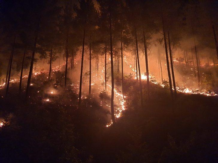 Adana'daki orman yangınlarıyla mücadele, pilotların kamerasına yansıdı G4