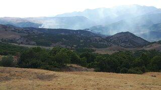 İddialar sosyal medyada gündem olmuştu! Tunceli Valiliği'nden 'yangın' açıklaması