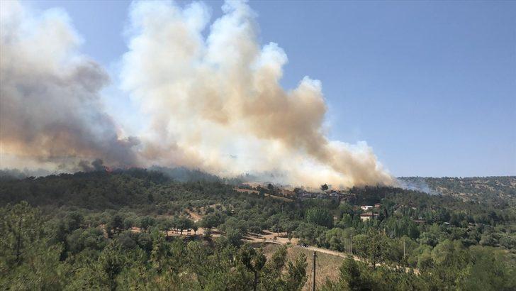 GÜNCELLEME - Uşak'ta çıkan orman yangınına müdahale ediliyor G1