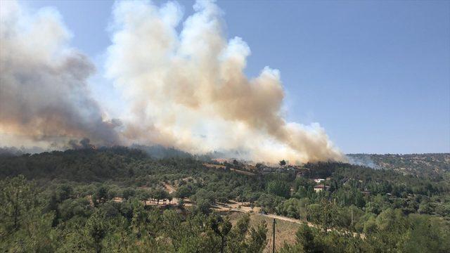 GÜNCELLEME - Uşak'ta çıkan orman yangınına müdahale ediliyor
