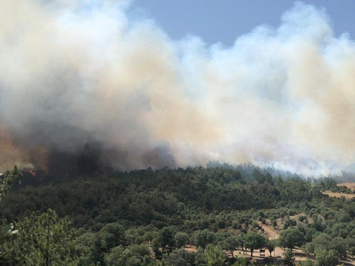 GÜNCELLEME - Uşak'ta çıkan orman yangınına müdahale ediliyor G2