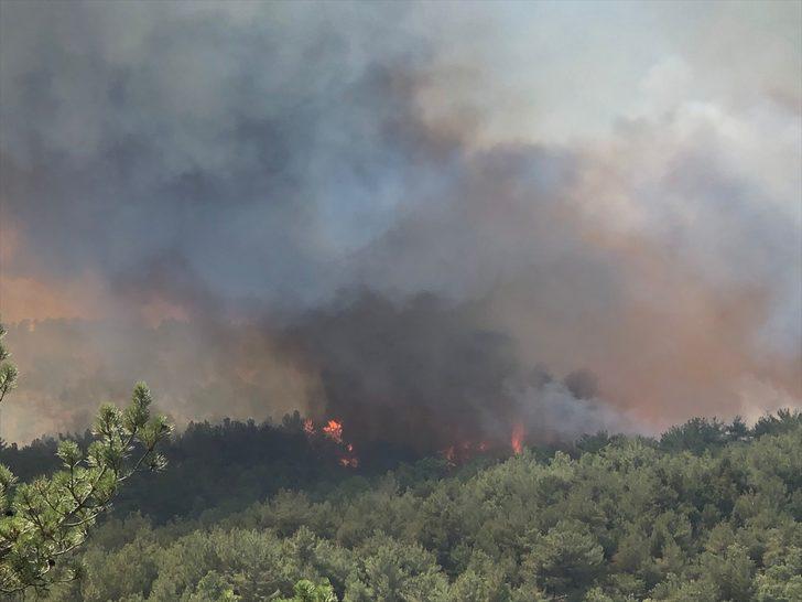 GÜNCELLEME - Uşak'ta çıkan orman yangınına müdahale ediliyor G3