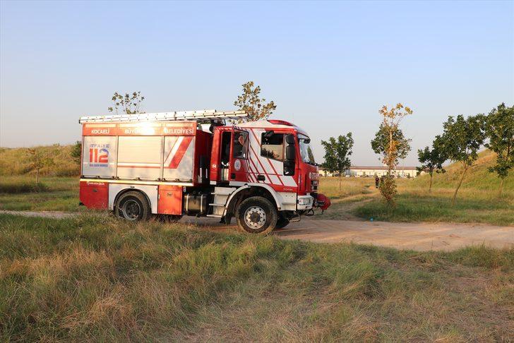 Kocaeli'de sulak alandaki 10 dönüm sazlık yandı G2