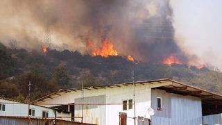 Bodrum'da yangın devam ediyor! Belediye Başkanı'ndan vatandaşlara çağrı