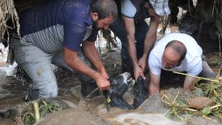 Erzurum, Van ve Hakkari'de sel felaketi! Karayolu ulaşıma kapandı