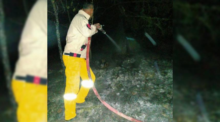 Orman Genel Müdürlüğü'nden Vezirköprü açıklaması: Yangın iddiaları asılsızdır