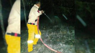 Orman Genel Müdürlüğü'nden Vezirköprü açıklaması: Yangın iddiaları asılsızdır