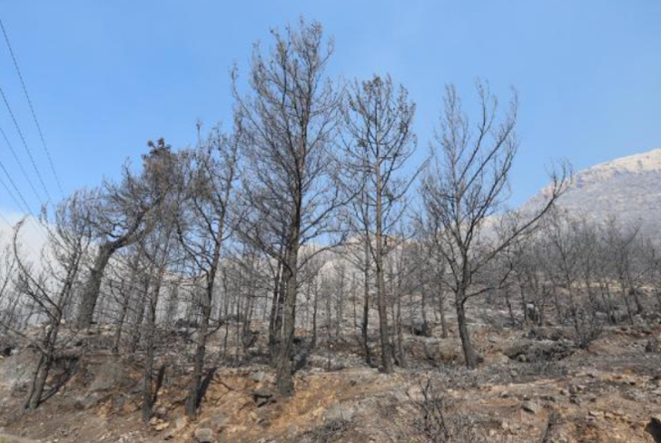 Yangından etkilenen vatandaşlar için 11 milyon TL'lik kaynak aktarılacak G2