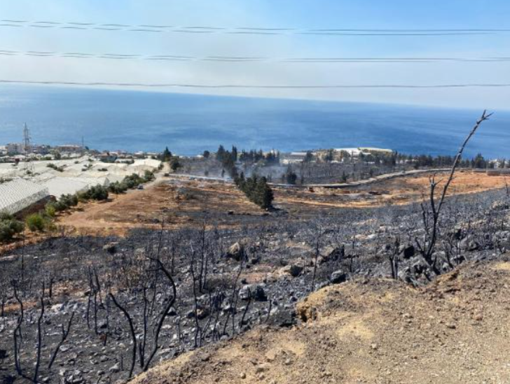 Yangından etkilenen vatandaşlar için 11 milyon TL'lik kaynak aktarılacak G4