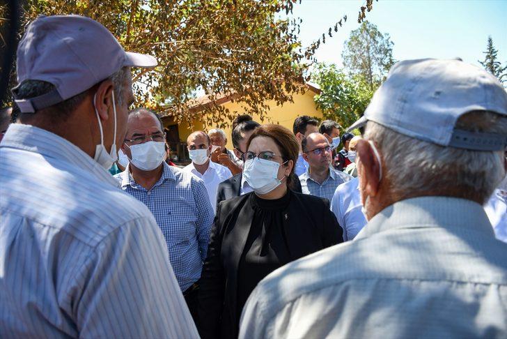 Bakan Yanık, Osmaniye'de orman yangınında zarar gören alanlarda incelemede bulundu: G2