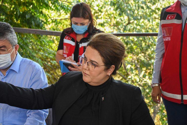 Bakan Yanık, Osmaniye'de orman yangınında zarar gören alanlarda incelemede bulundu: G4