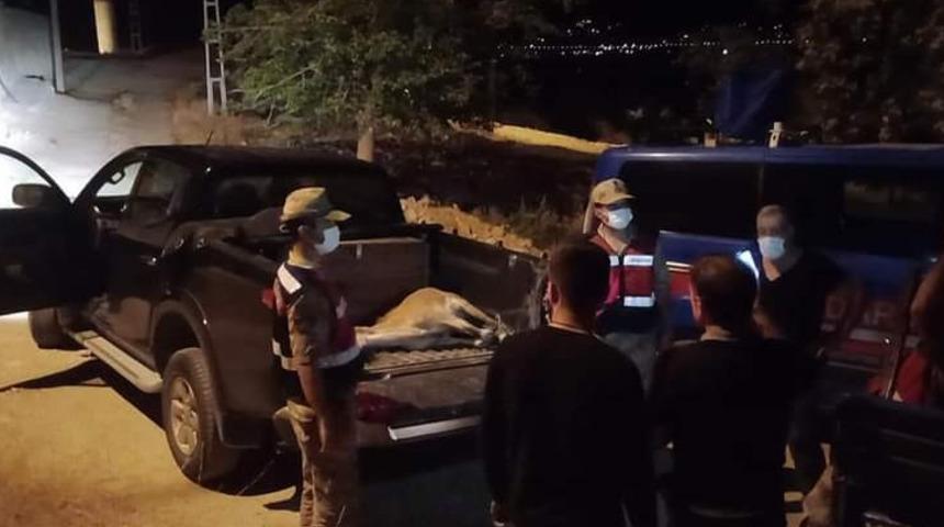 Hasta yaban ke&ccedil;isi i&ccedil;in seferber oldular! 3 kilometre boyunca...