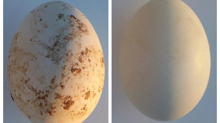 Bu "Kirli Oyun" Hiç Hoşunuza Gitmeyecek!