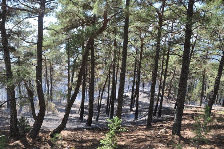 Köyceğiz'deki orman yangınına müdahale ediliyor G2