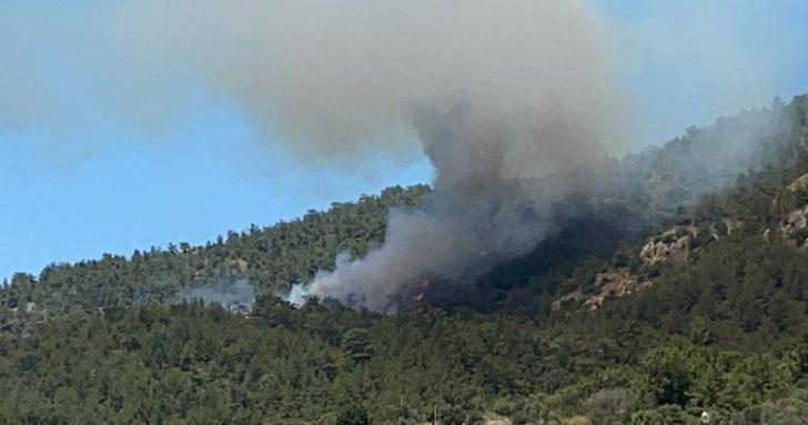 Çökertme nerede? Bodrum Çökertme neresi ve nasıl gidilir? G2