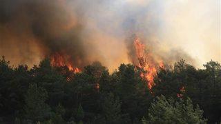 Global Call ne demek? Global Call ne anlama geliyor?