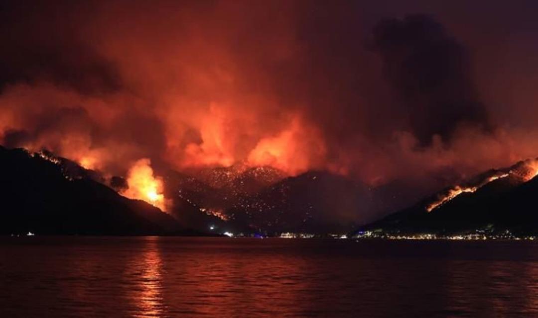 Help Turkey ne demek? Help Turkey nedir ve &ccedil;evirisi ne anlama geliyor?