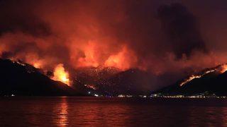 Help Turkey ne demek? Help Turkey nedir ve çevirisi ne anlama geliyor?