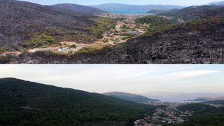 Marmaris'teki yangın felaketinin boyutunu gözler önüne seren görüntüler