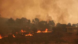 Orman yangınlarıyla mücadele için dikkat çeken öneri: Düğünlerde havai fişek kullanımı yasaklansın