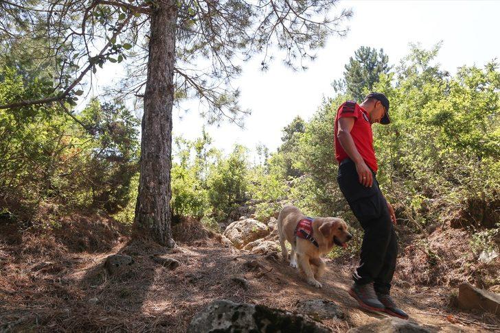 Kahramanmaraş'ta ormanlık alanda kaybolan öğretmenin cesedine ulaşıldı G3