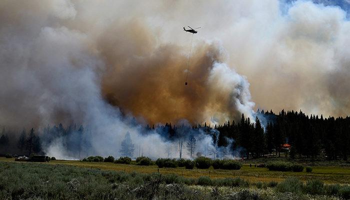 ABD'deki orman yangınlarında New York, Los Angeles ve Chicago kentlerinin toplamı büyüklüğünde alan yandı
