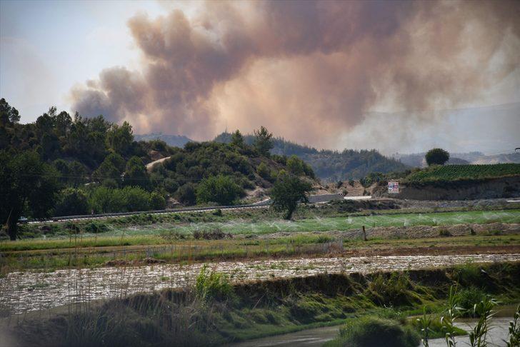 GÜNCELLEME 2 - Adana'da tarlada başlayıp ormanlık alana sıçrayan yangına müdahale ediliyor G5