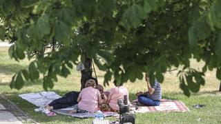 Yalova'da 1 Eylül'e kadar piknik ve mesire yerlerinde ateş yakmak yasaklandı