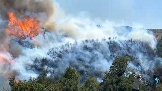 Aydın'da başlayan yangın Muğla'ya sıçradı