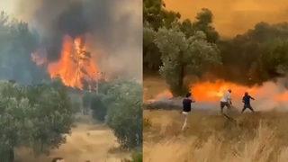 Panik anları kamerada! Patlayan kozalaklar saniyeler içinde yangını böyle büyüttü